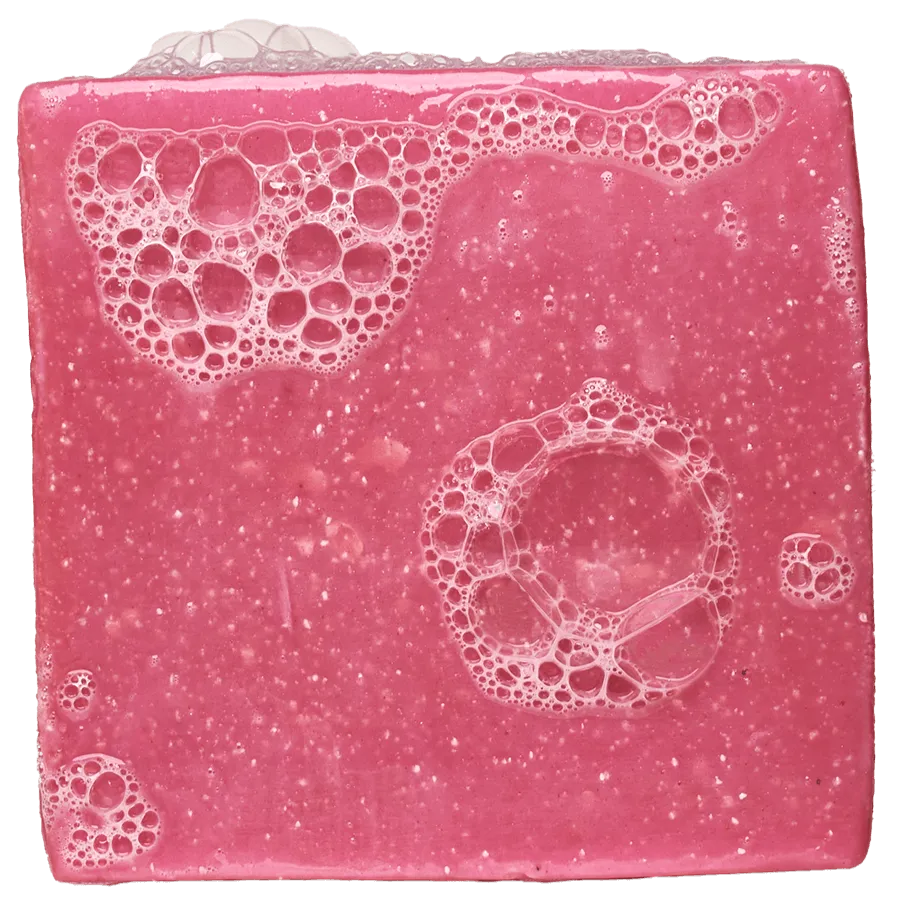 Fight Scrub 3-Pack